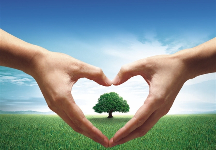 山東興源機(jī)械有限公司官網(wǎng)|起重機(jī)|行車(chē)|山東興源機(jī)械|單梁起重機(jī)|電動(dòng)葫蘆|起重配件|www.steveterry.net|xyqzj|xyqzj.com|興源起重機(jī)|興源|起重機(jī)行車(chē)|起重設(shè)備|起重機(jī)械